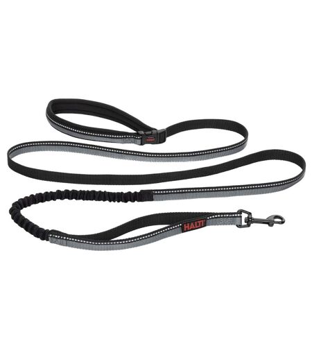 Laisse pour chiens active grand-2,5 cm-2,1 m noir Halti