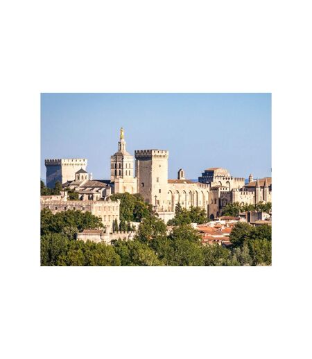 Visite du Palais des Papes à Avignon en famille : 2 entrées adulte et 1 entrée enfant - SMARTBOX - Coffret Cadeau Sport & Aventure
