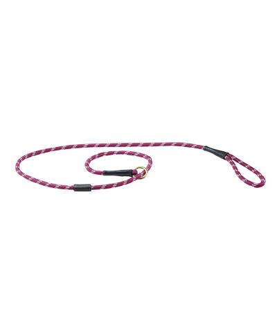 Weatherbeeta Rope Leather Slip Dog Leash (Burgundy/Brown) (6ft) - UTWB1345
