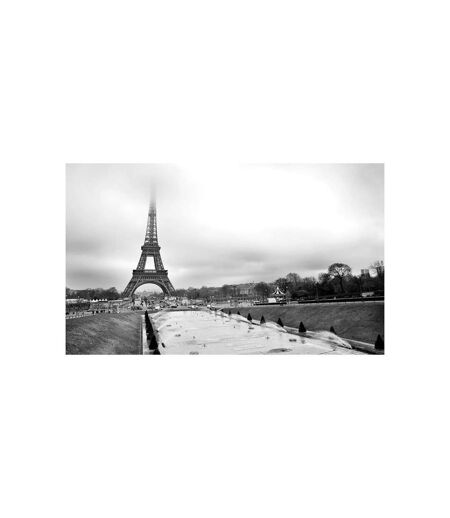 Papier Peint Paris : Tour Eiffel II 270x450cm