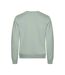 Unisex Adult Miami Sweatshirt Sage Green Clique-2