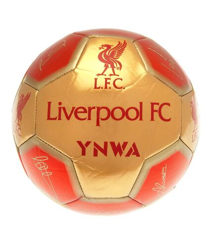 Liverpool FC - Ballon de foot YNWA (Rouge / Doré) (Taille 5) - UTTA10982