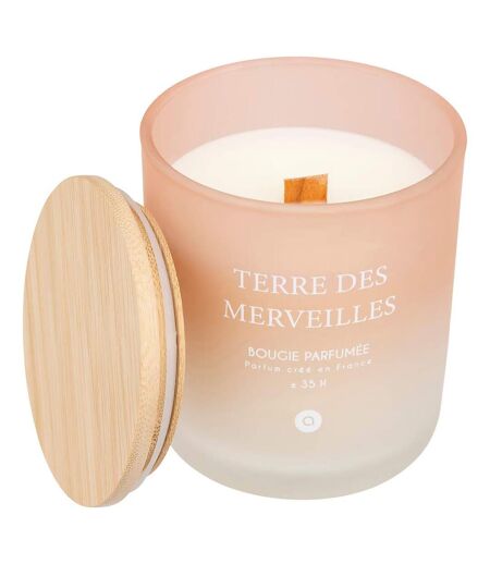 Bougie Parfumée en Verre Sana 255g Terre des Merveilles