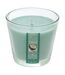 Bougie Parfumée en Verre Nina 190g Noix de Coco-1