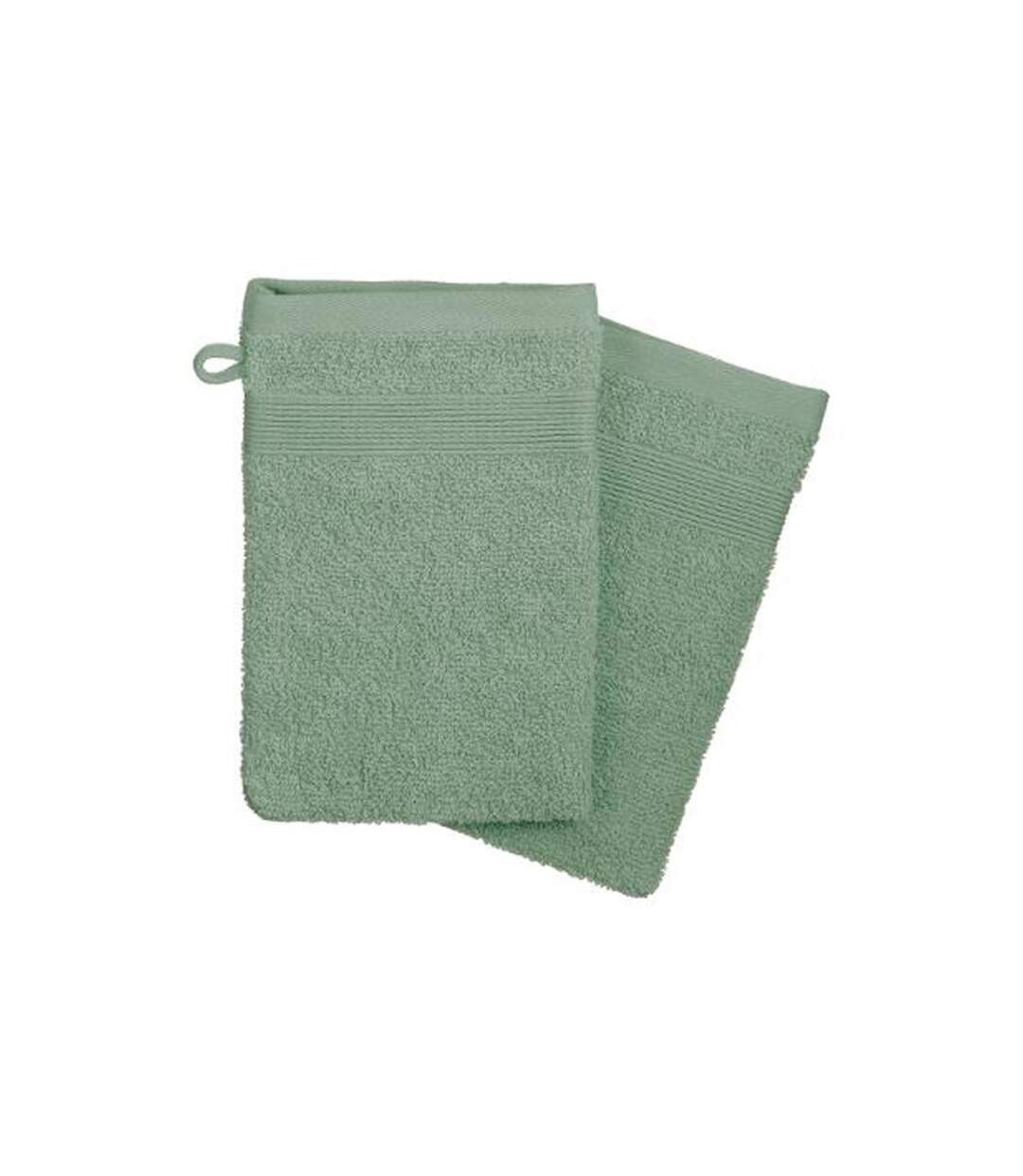 Lot de 2 Gants de Toilette Confort 15x21cm Celadon-1