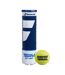 Pack Of 4  Team All Court Tennis Balls  One Size Yellow Babolat-2