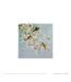 Fletcher Prentice - Poster SONG BIRDS AND APPLE BLOSSOM (Bleu / Blanc / Jaune) (30 cm x 30 cm) - UTPM3885