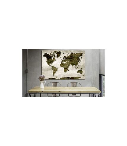 Paris Prix - Tableau Imprimé world Map : Green Planet 40x60cm