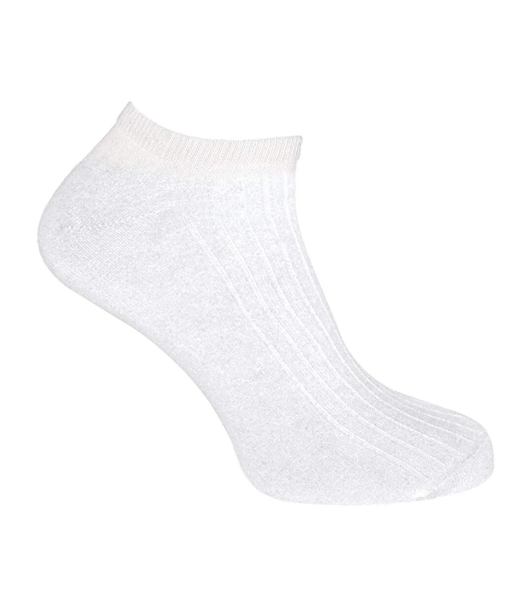 Sock Snob - Homme Chaussettes Basses 100% Coton | Chaussettes Courtes Respirant