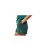 Short Astbury Femme Vert Sombre Jack Wills-1