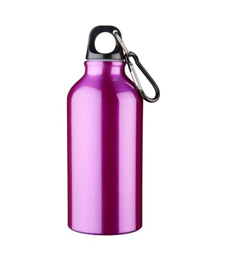 Bullet Oregon Drinking Bottle With Carabiner (Purple) (One Size) - UTPF101