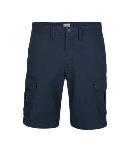 Short Cargo Bleu Foncé Homme O'Neill Beach Break - 29