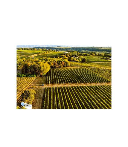 Découverte de vignes biodynamiques avec dégustation de vins en Gironde - SMARTBOX - Coffret Cadeau Sport & Aventure