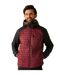 Doudoune Matelassée Rowak Homme Pourpre Foncé Noir Regatta-1