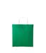 Varsity Cotton Shopper Short Handle Tote One Size Kelly Green White Nutshell-1