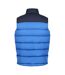 Regatta Mens Vintage Colour Block Vest (Strong Blue/Navy)