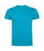 Mens Dogo Premium T-shirt Turquoise Roly-1