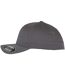 Flexfit - Casquette de baseball - Adulte (Gris foncé) - UTPC4861-3