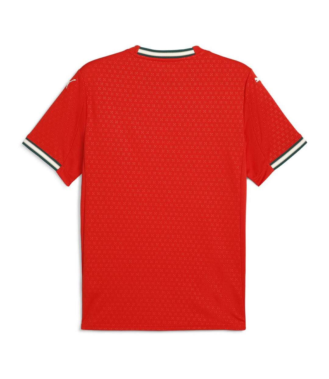 Portugal maillot réplica domicile homme puma 2025-2