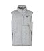 Veste Sans Manches Motif/style Logo Barlee Homme Gris Pâle Regatta-2