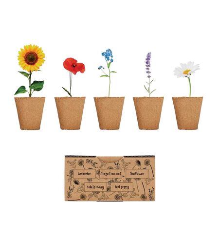 Fleurs graines de fleurs taille unique beige MidOcean