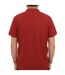 Polo Motif/style Logo Homme Rouge Foncé Pepe Jeans-2