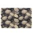 Tapis d'Entrée Grattoir Rivera 40x60cm Naturel-1