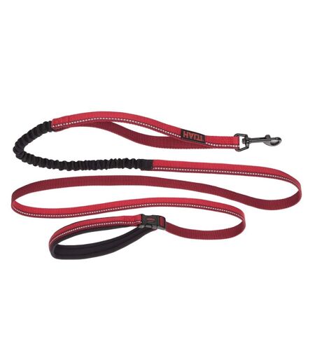 Laisse pour chiens active grand-2,5 cm-2,1 m rouge Halti