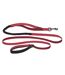 Laisse pour chiens active grand-2,5 cm-2,1 m rouge Halti-2