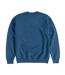 Sweat Adulte Bleu Indigo The Real Ghostbusters-2