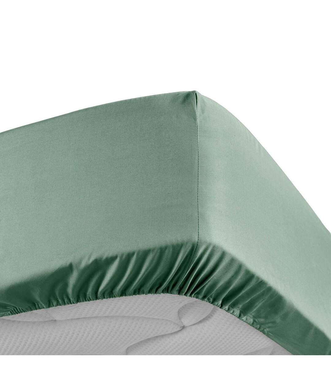 Drap Housse Percaline 160x200cm Tilleul-1