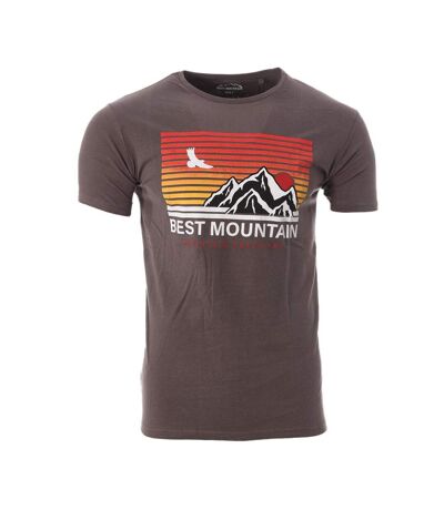 T-shirt gris homme best mountain 2006 - l