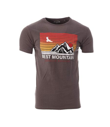 T-shirt gris homme best mountain 2006 - l