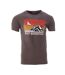 T-shirt gris homme best mountain 2006 - l-1