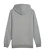 Sweat À Capuche Essentials Homme Gris Argenté Puma-2