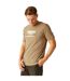 T-shirt cline homme beige foncé Regatta