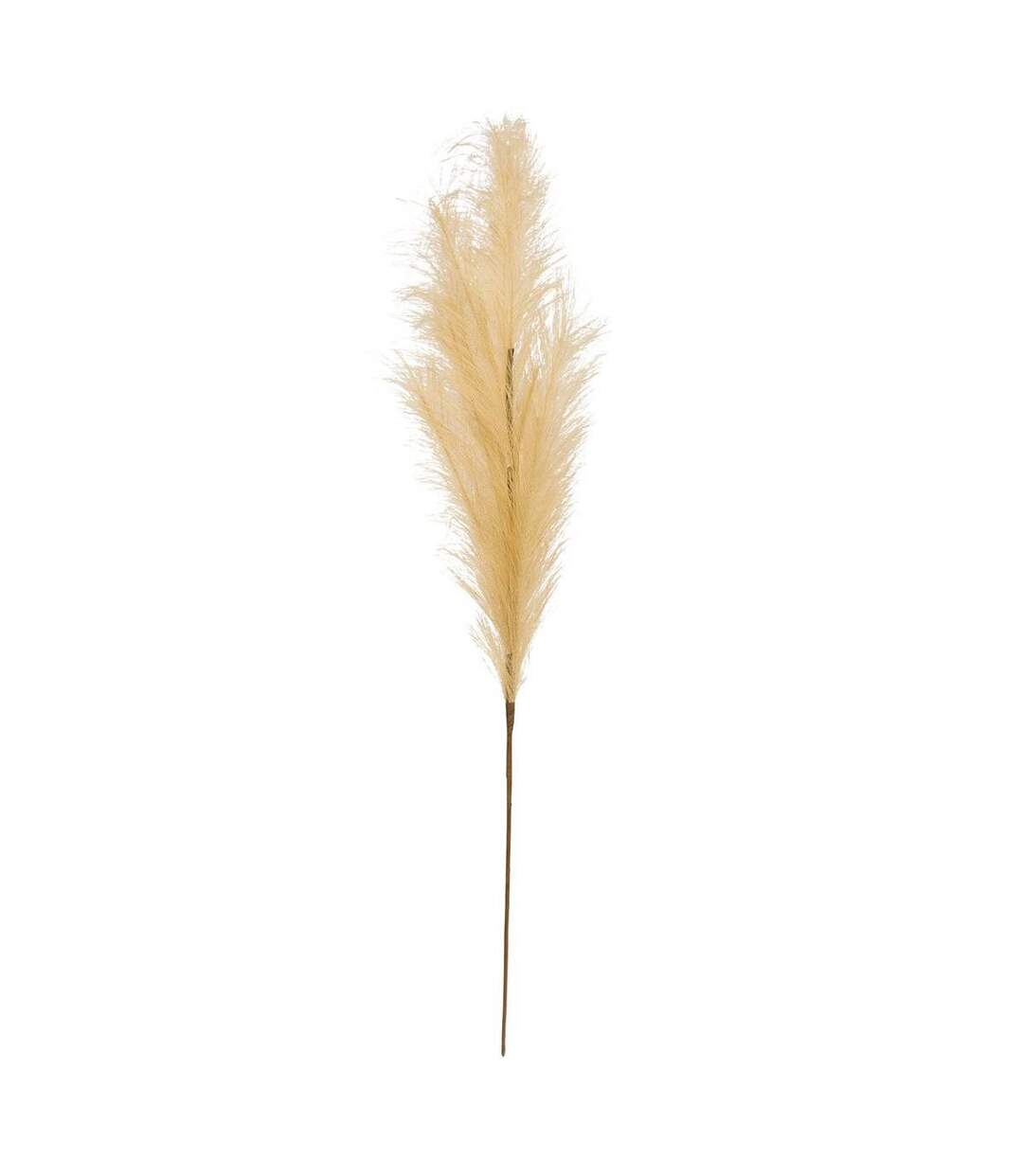 Pampa Artificielle Adna 90cm Beige-1