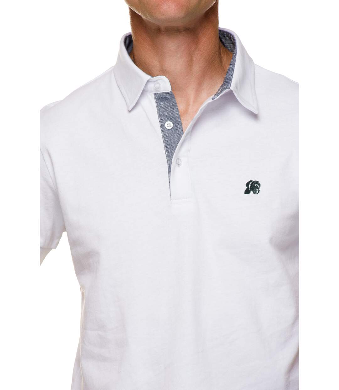 Polo Droit en Maille Coton Jersey Uni Blanc