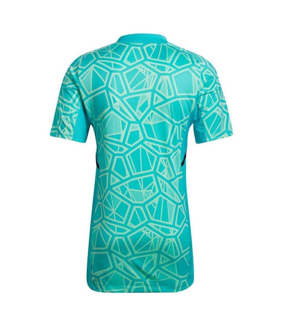 Maillot De Gardien De But Manches Courtes Condivo Homme Vert Adidas-3