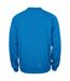 Sweat Manches Raglan Adulte Bleu Roi Clique-2