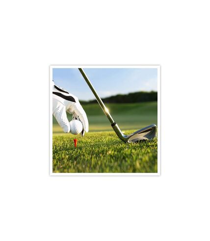 SMARTBOX - Journée de golf et repas pour 2 en Île-de-France - Coffret Cadeau Sport & Aventure