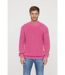 Pull manches longues coton regular CULIA-1