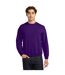 Sweat Adulte Violet Gildan-1