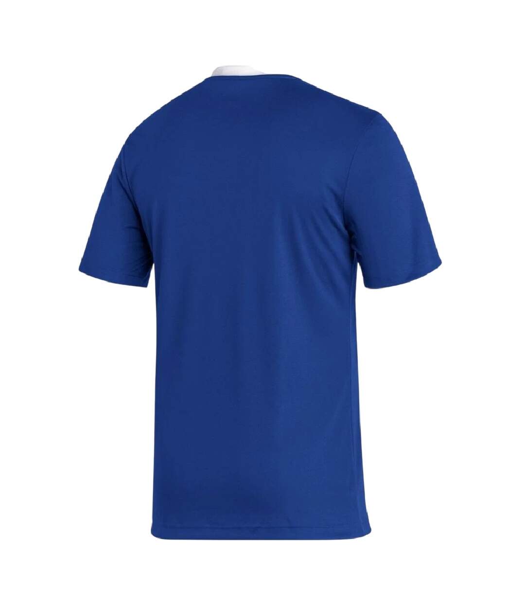 T-shirt Entrada Homme Bleu Adidas-2