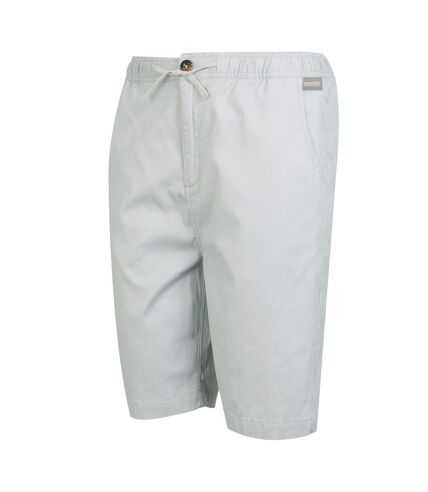 Mens aldan chino shorts silver grey Regatta