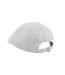 Casquette Plate Ivy Adulte Gris Clair Beechfield-2