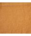 Set de Table en Lin Elina 30x45cm Jaune-3