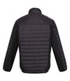 Regatta Mens Tourer Hybrid Padded Jacket (Black)
