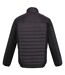 Regatta Mens Tourer Hybrid Padded Jacket (Black)