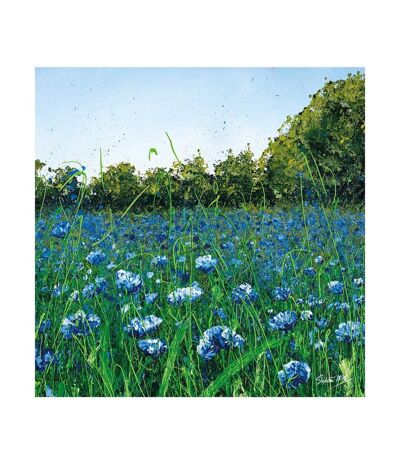 Siobhan McEvoy - Imprimé CORNFLOWER MEADOW (Vert / Bleu) (40 cm x 40 cm) - UTPM7601